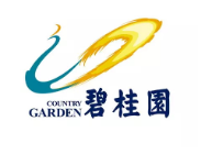 番禺碧桂园地产
